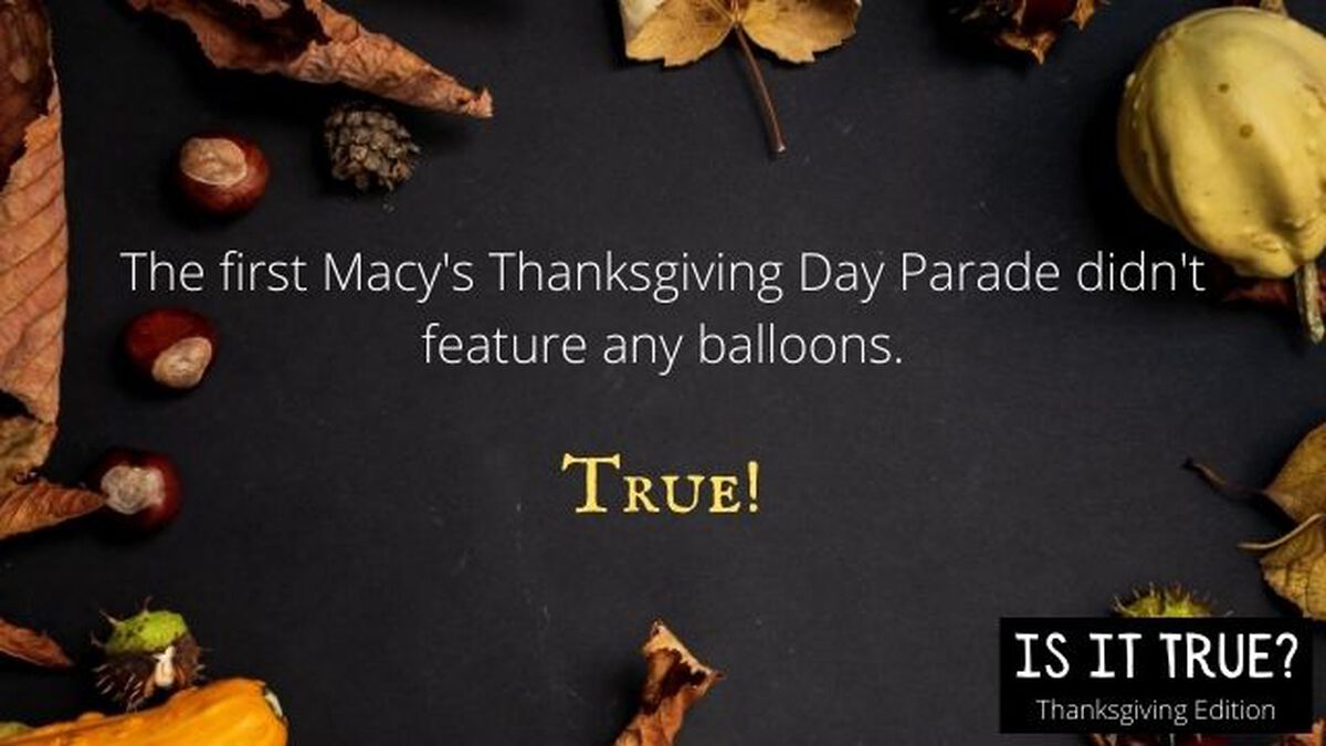 Is It True Thanksgiving Edition image number 5